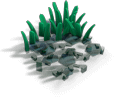 高草丛 (1)