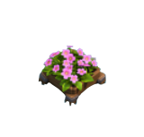 矢车菊