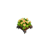 太阳花