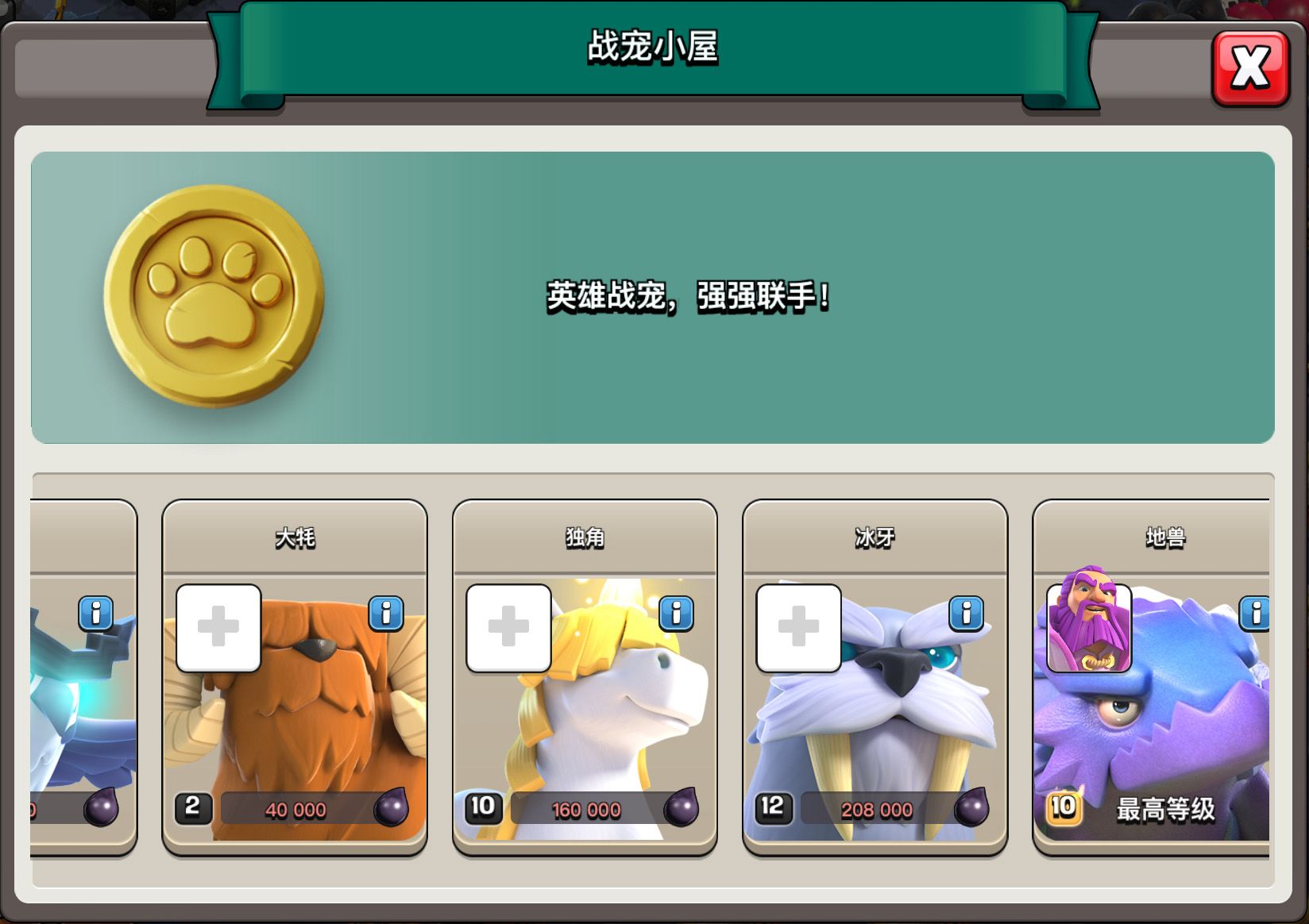 coc 战宠小屋页面